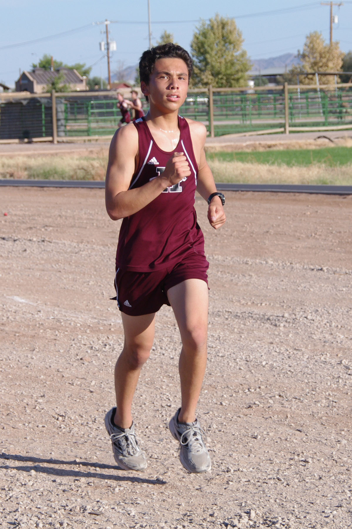 IMGP1688_C.jpg