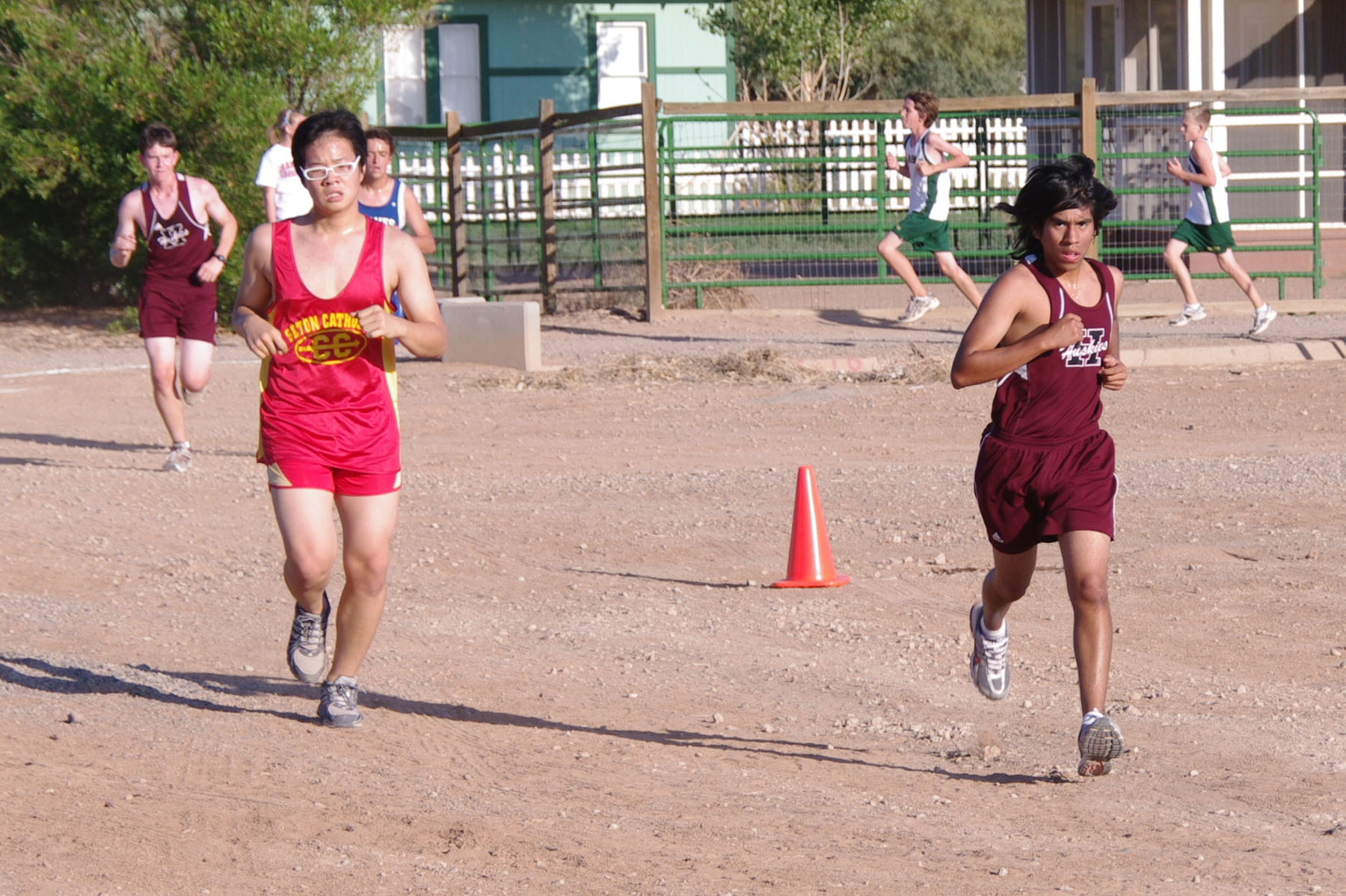 IMGP1694_C.jpg