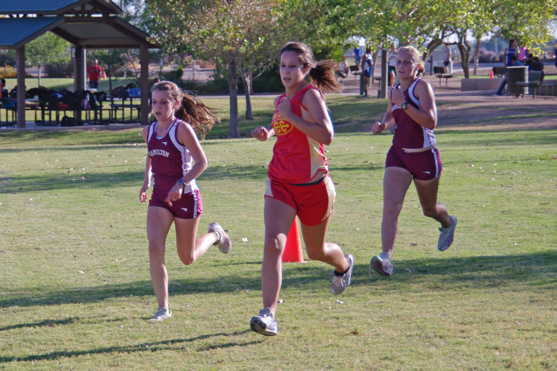IMGP1658_C.jpg