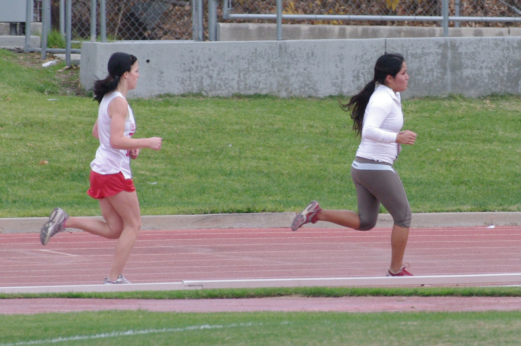 IMGP2208_C.jpg