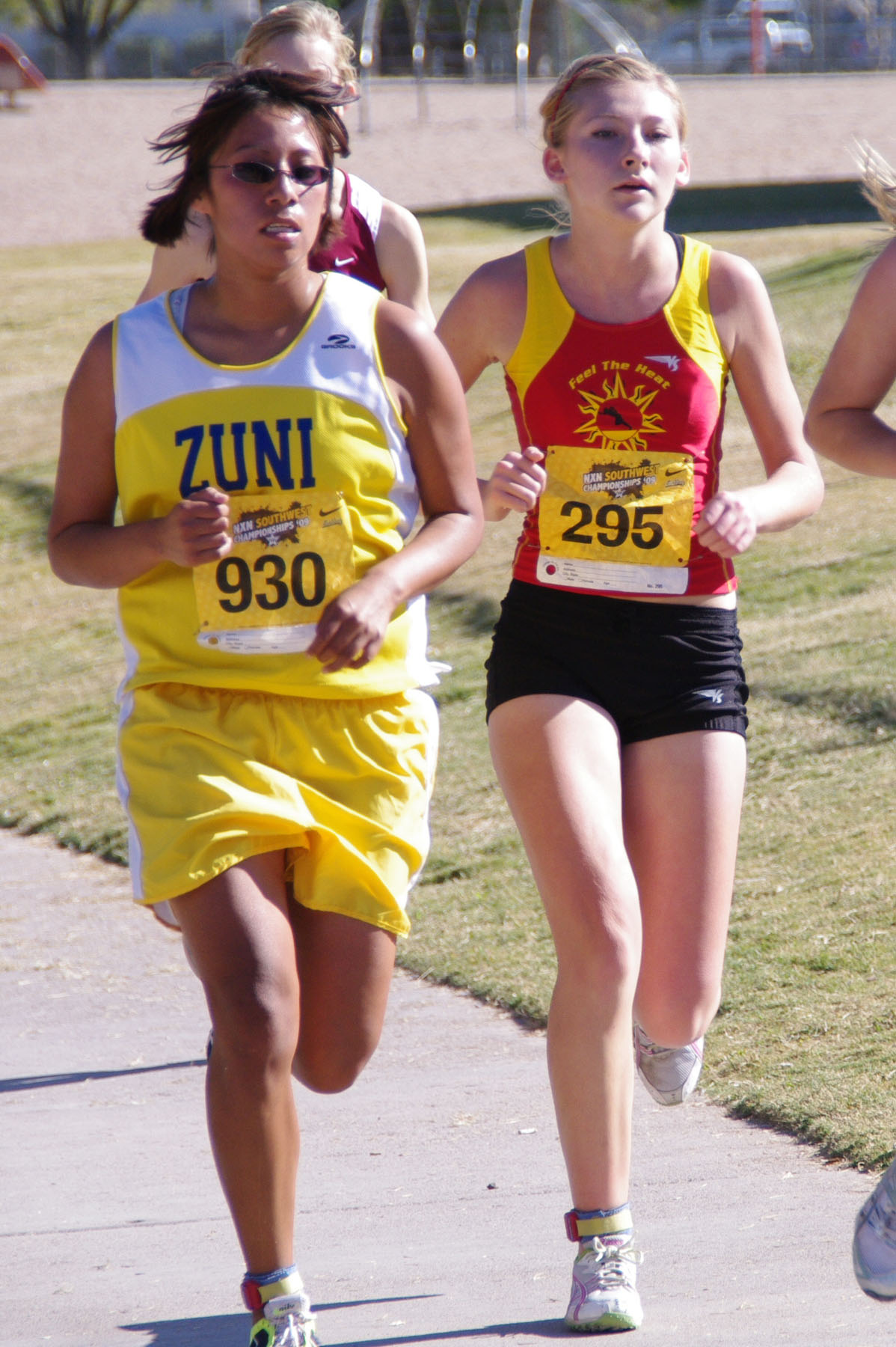 IMGP2113_C.jpg