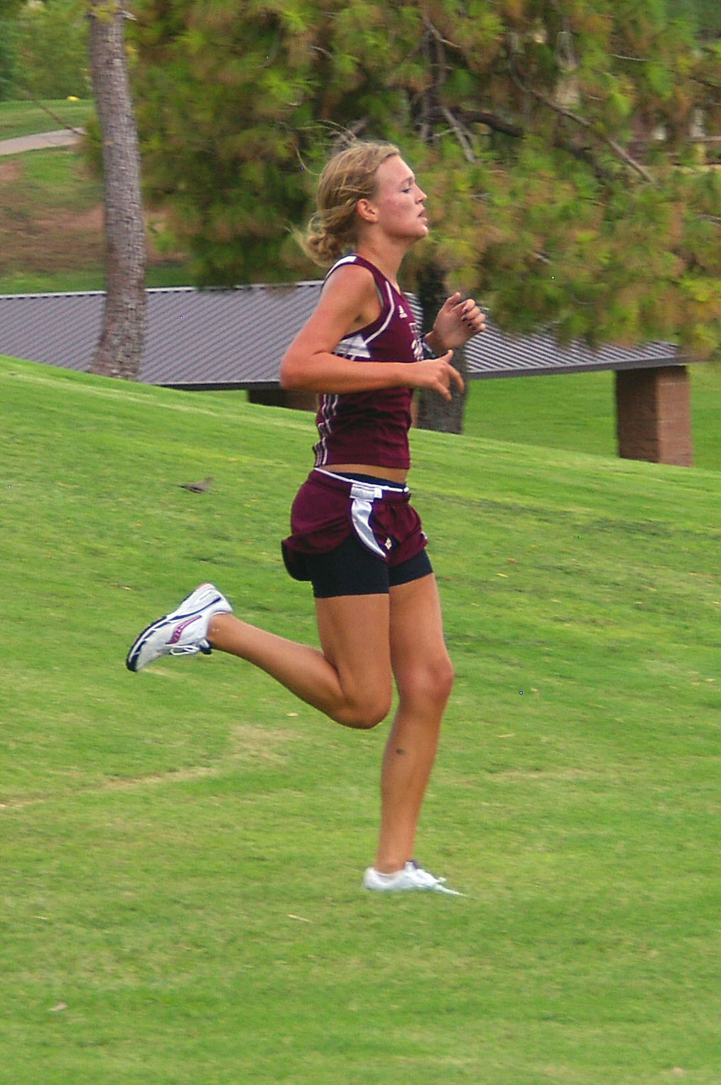 IMGP4567_CE.jpg
