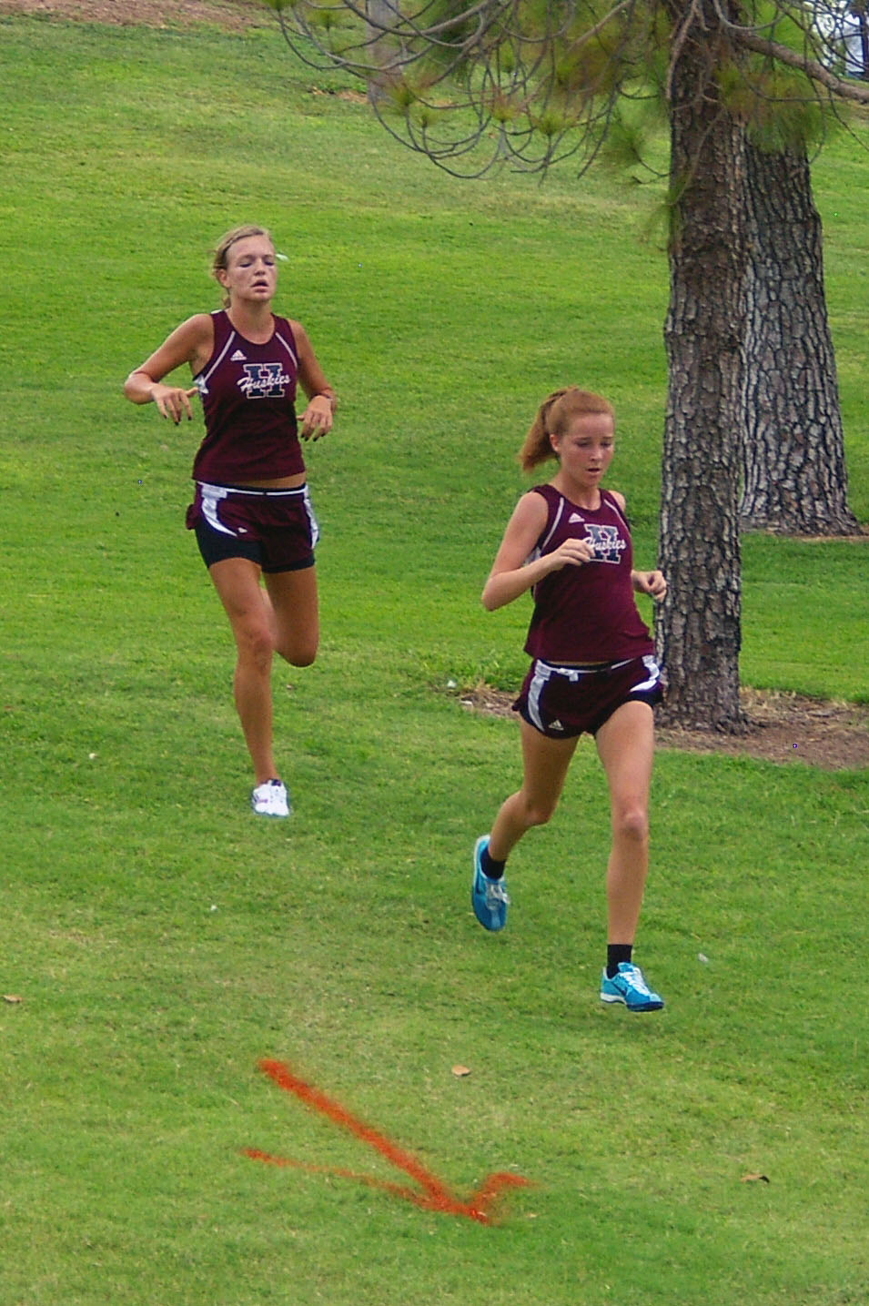 IMGP4582_CE.jpg