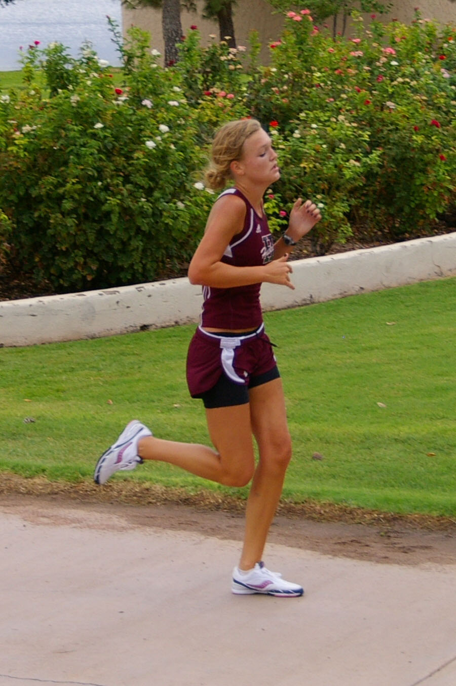 IMGP4585_C.jpg