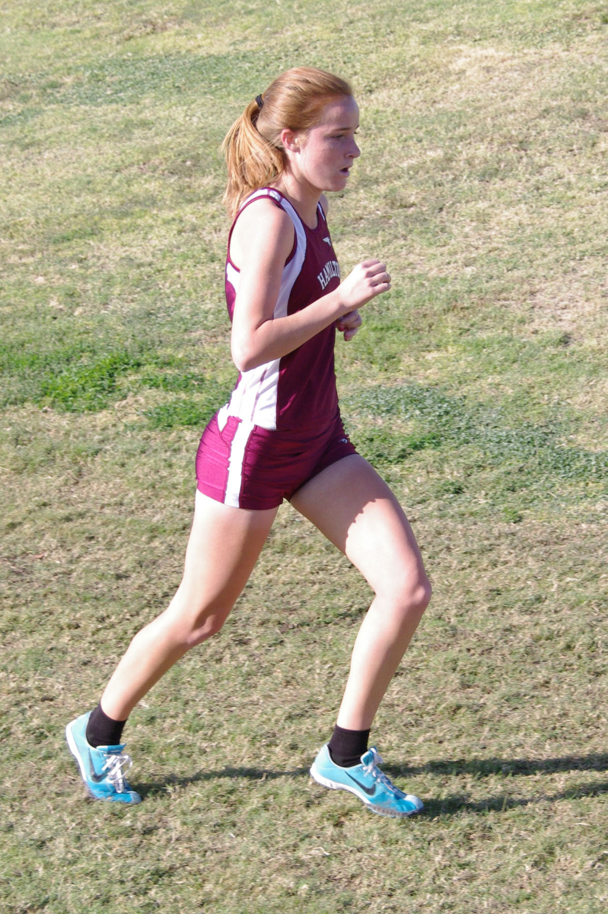 IMGP1838_C.jpg