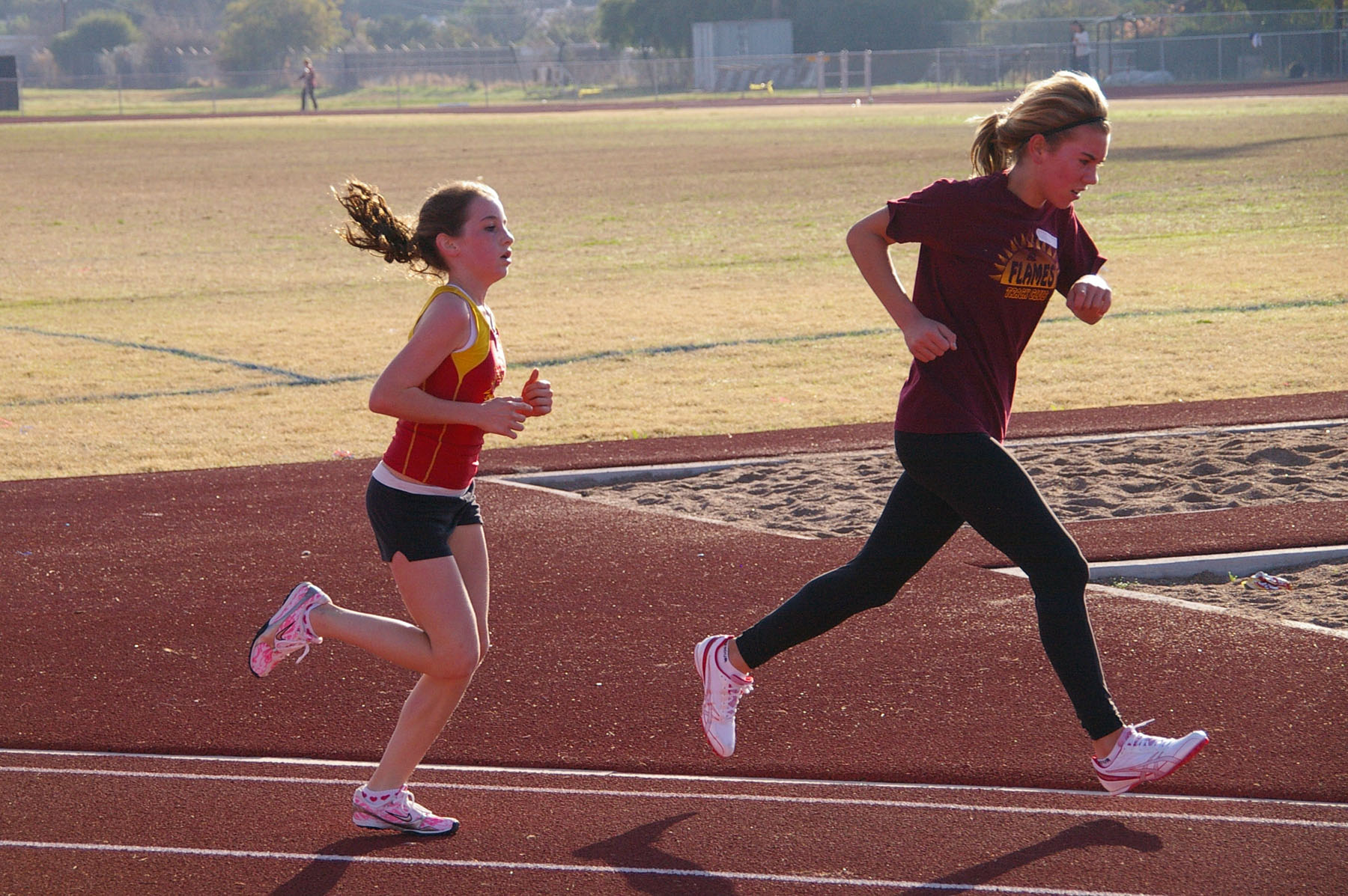 IMGP2590_C.jpg