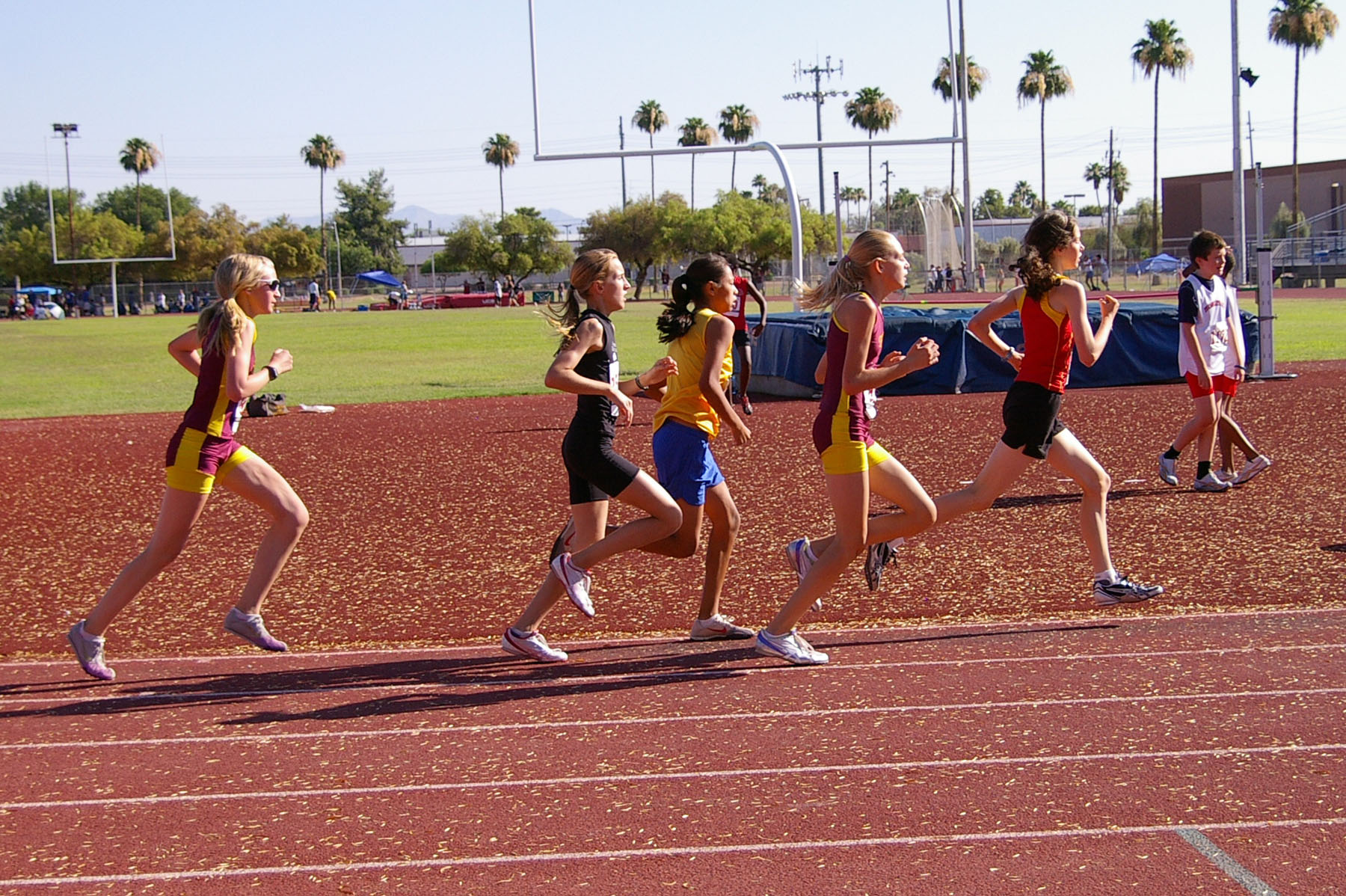 IMGP4070_C.jpg