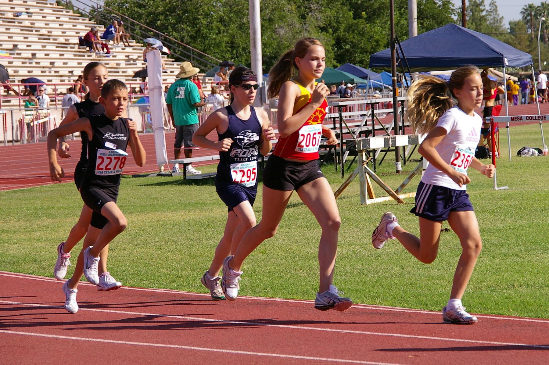 IMGP3830_CE.jpg