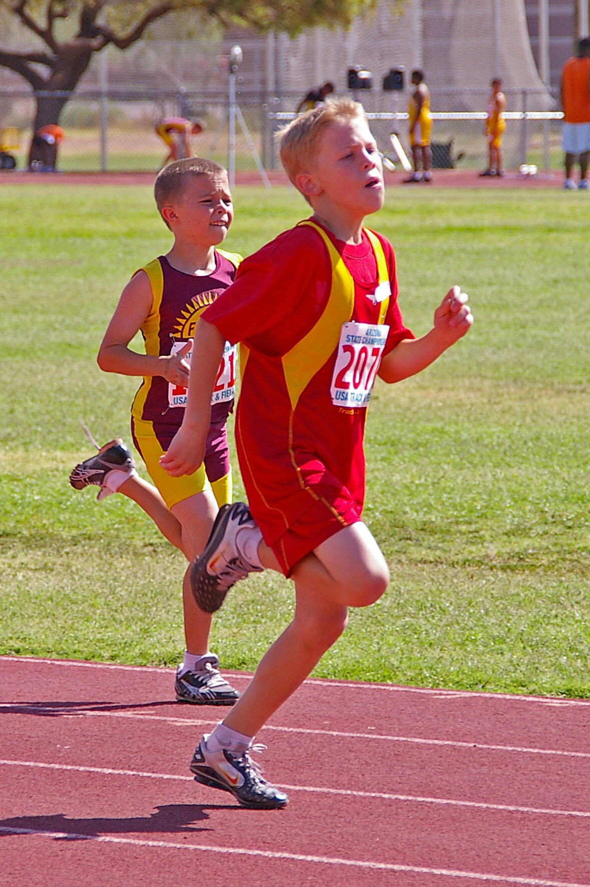 IMGP3876_CE.jpg