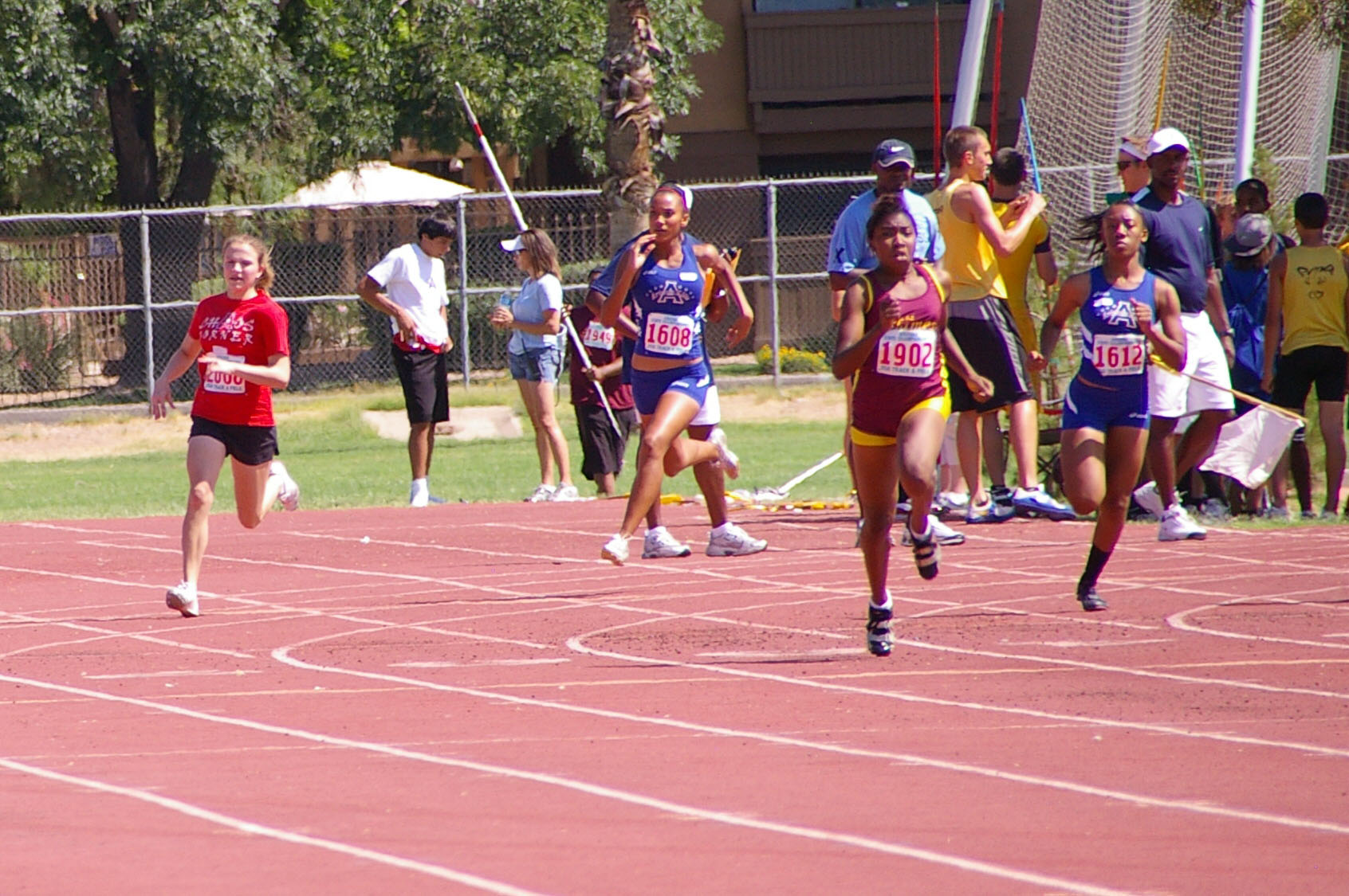 IMGP3884_C.jpg