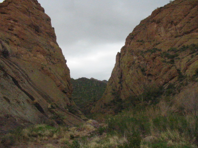 IMG_4648.JPG