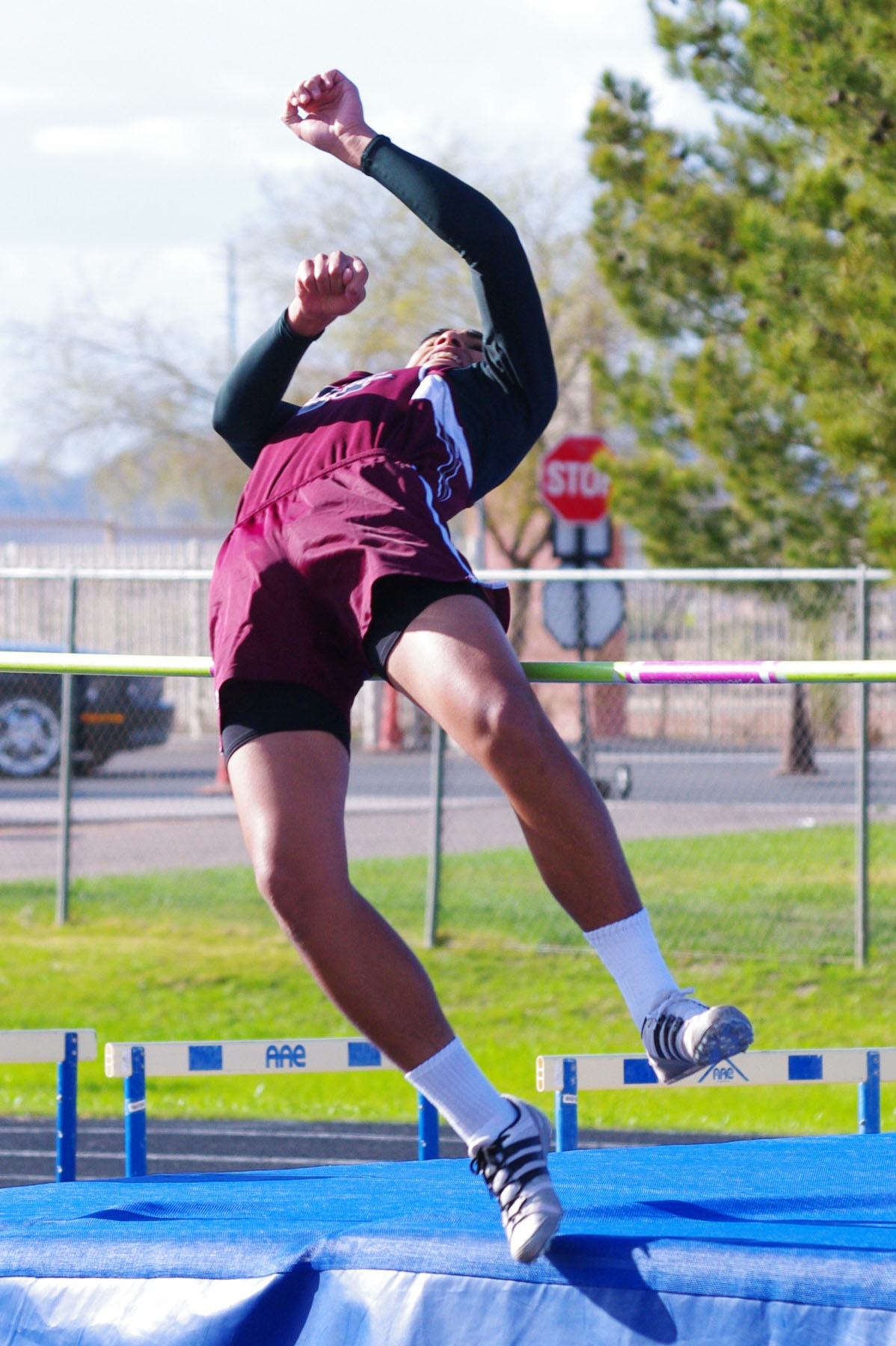 IMGP3819_C.jpg