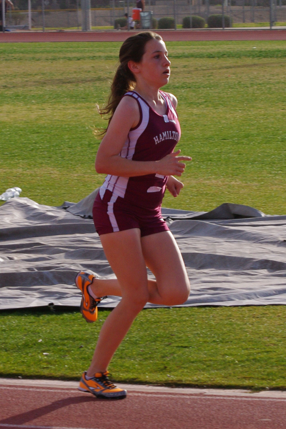 IMGP3415_C.jpg