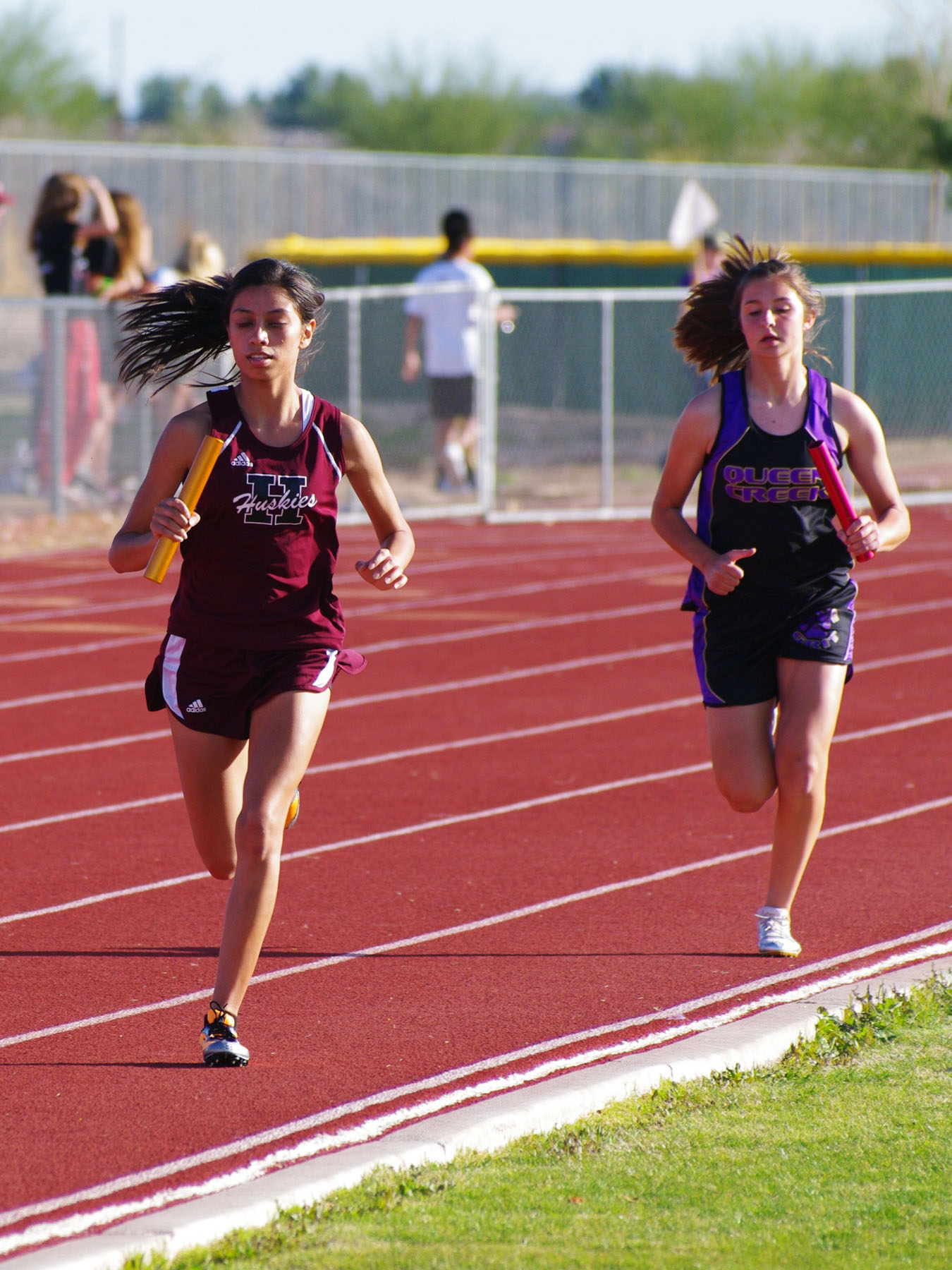 IMGP3722_C.jpg