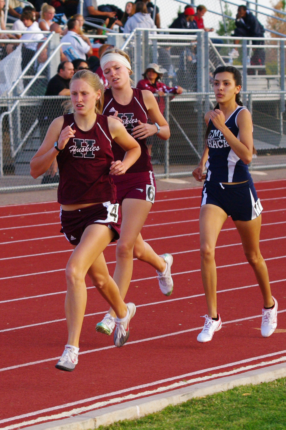 IMGP3781_C.jpg
