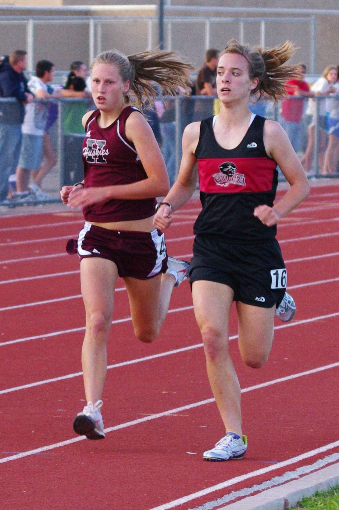IMGP3784_C.jpg
