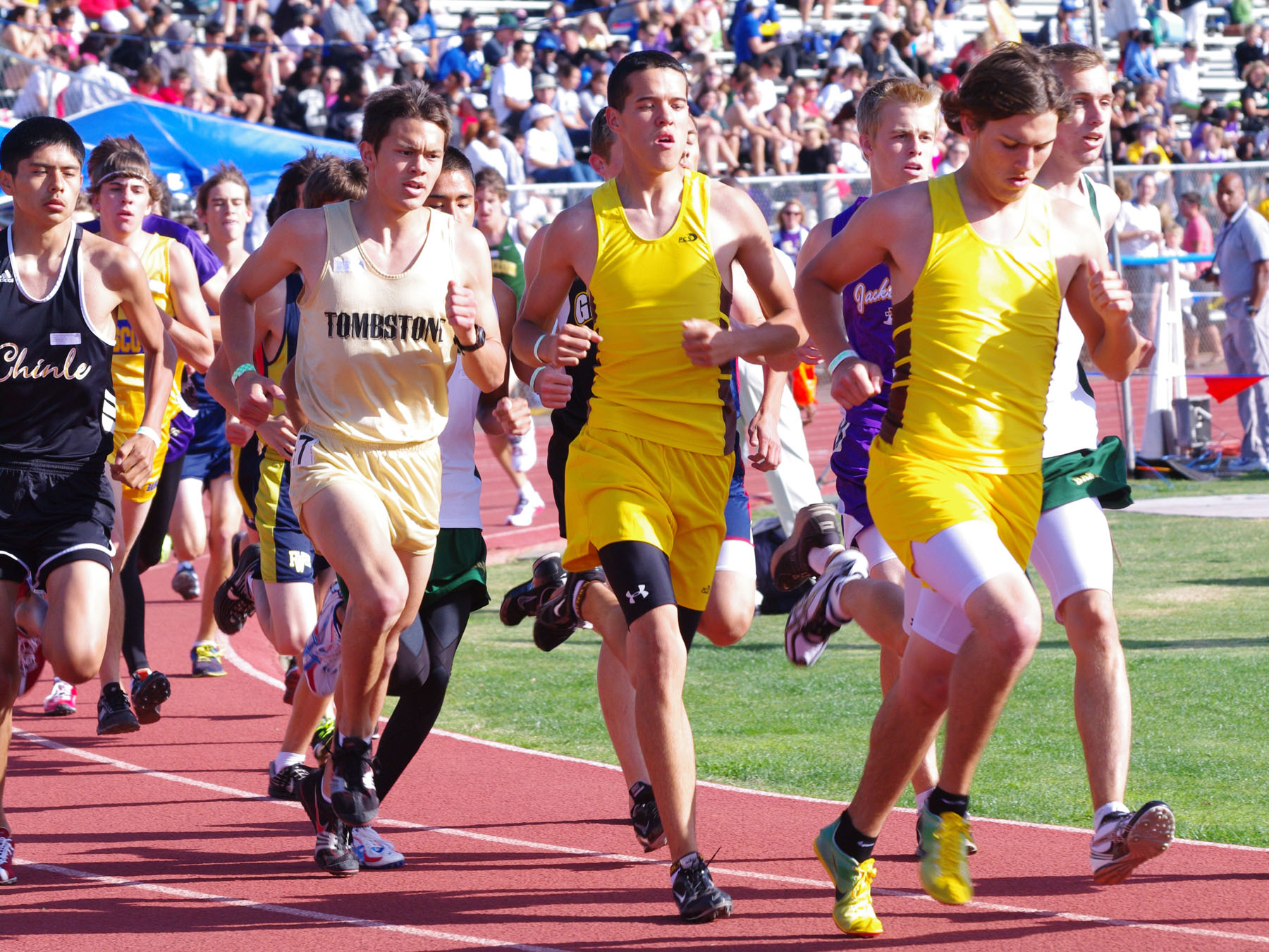 IMGP4250_C.jpg