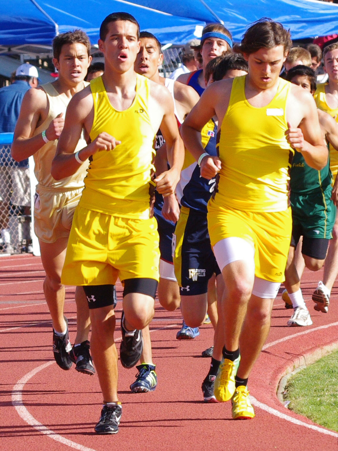 IMGP4254_C.jpg