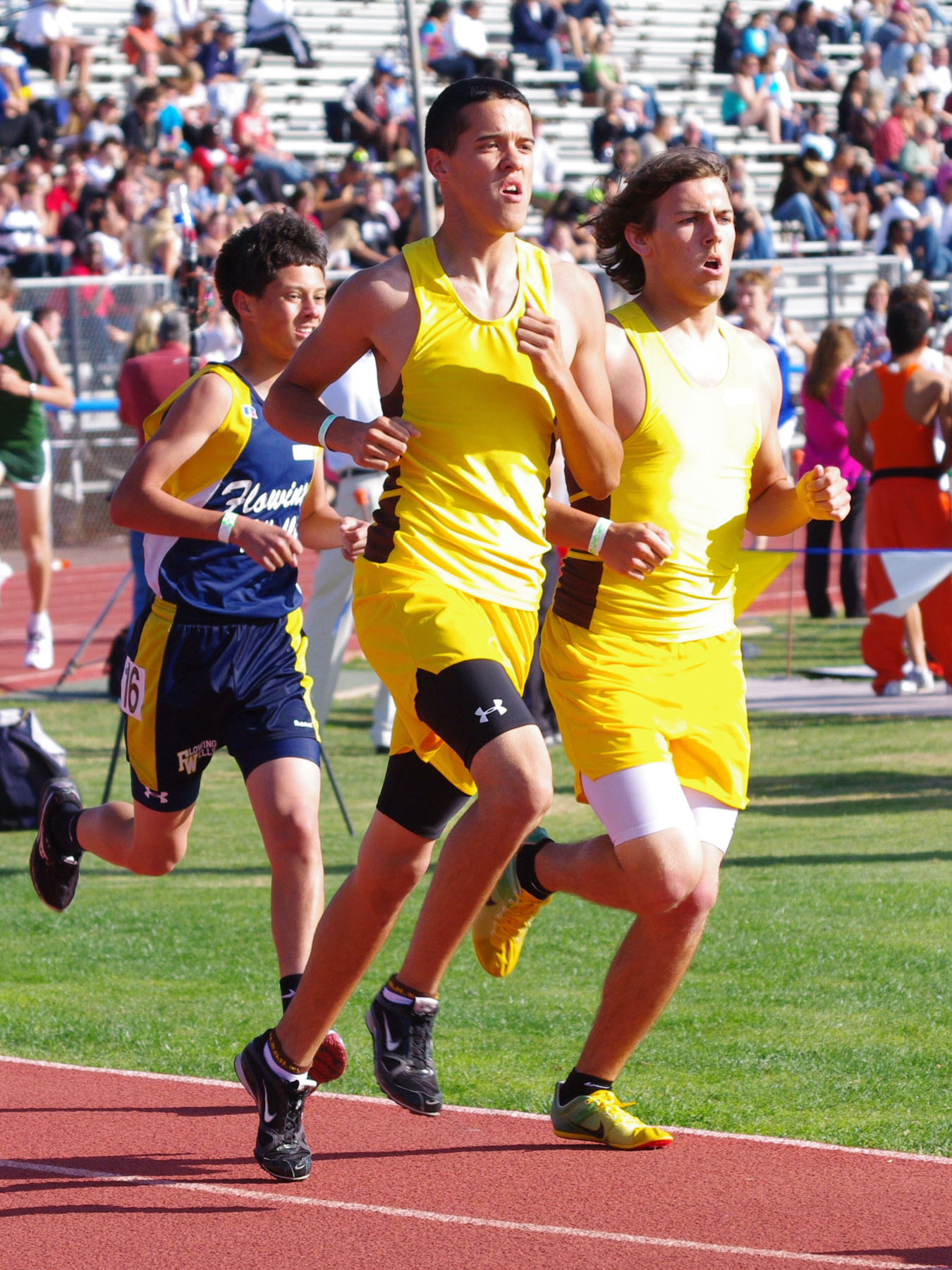 IMGP4256_C.jpg