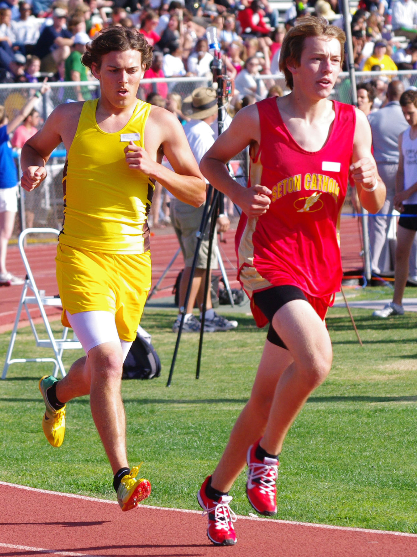 IMGP4261_C.jpg