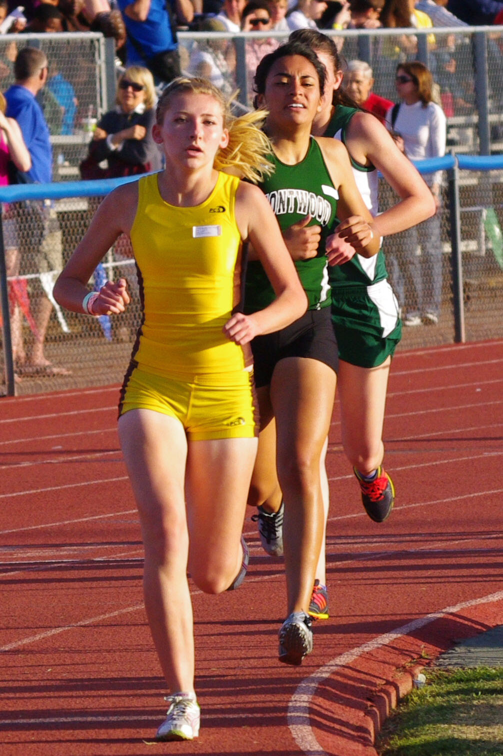 IMGP4613_C.jpg