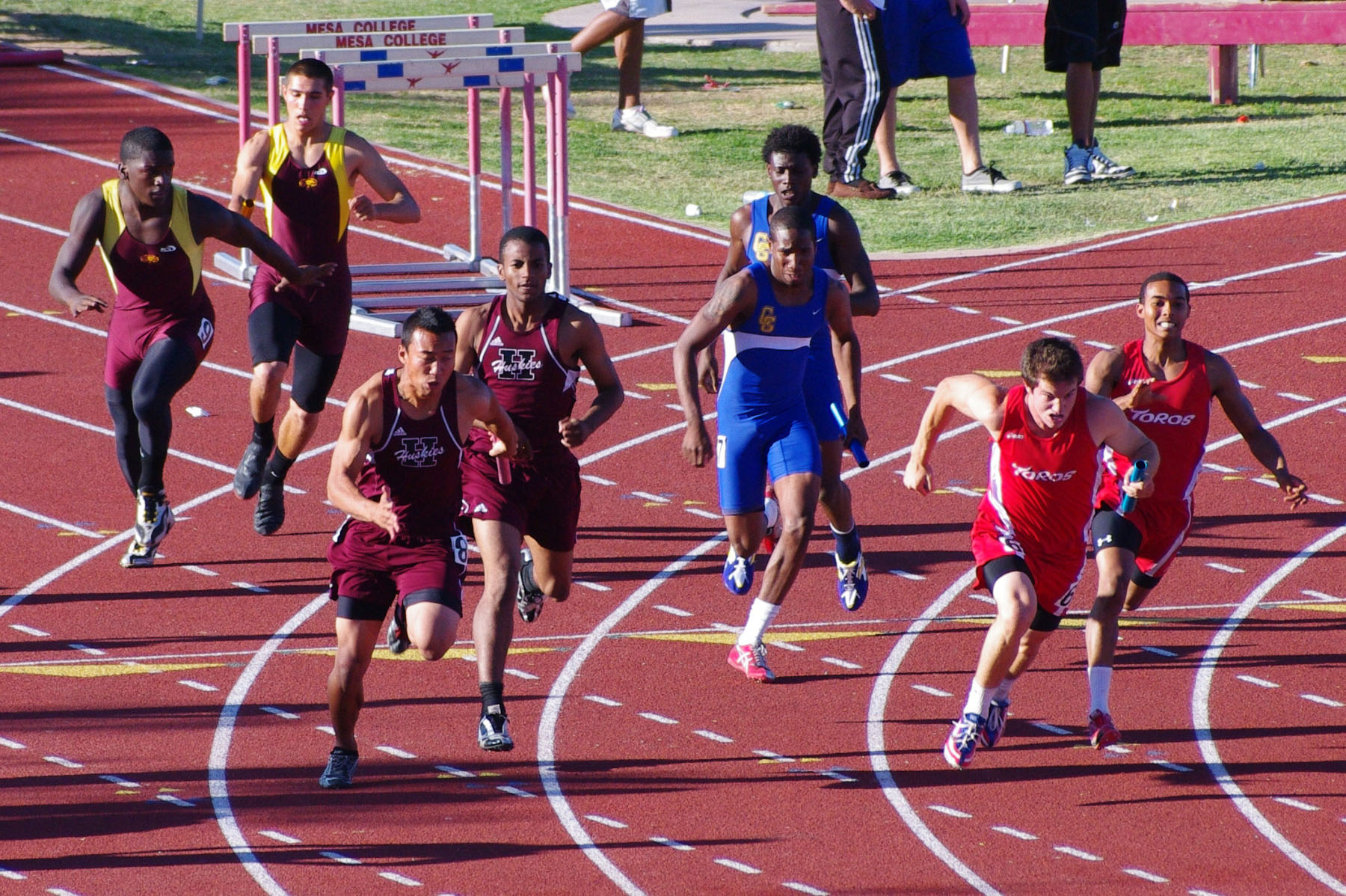 IMGP6461_C.jpg