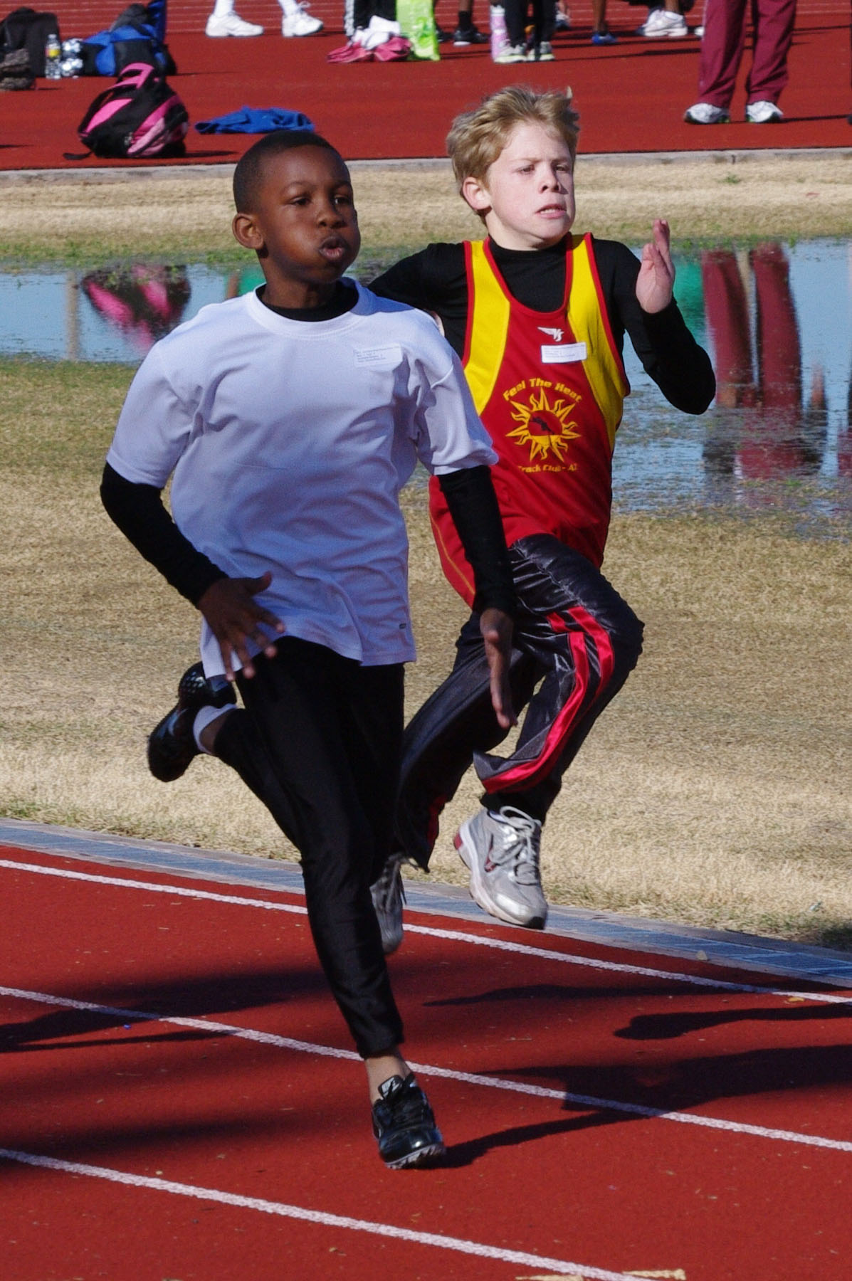 IMGP2484_C.jpg