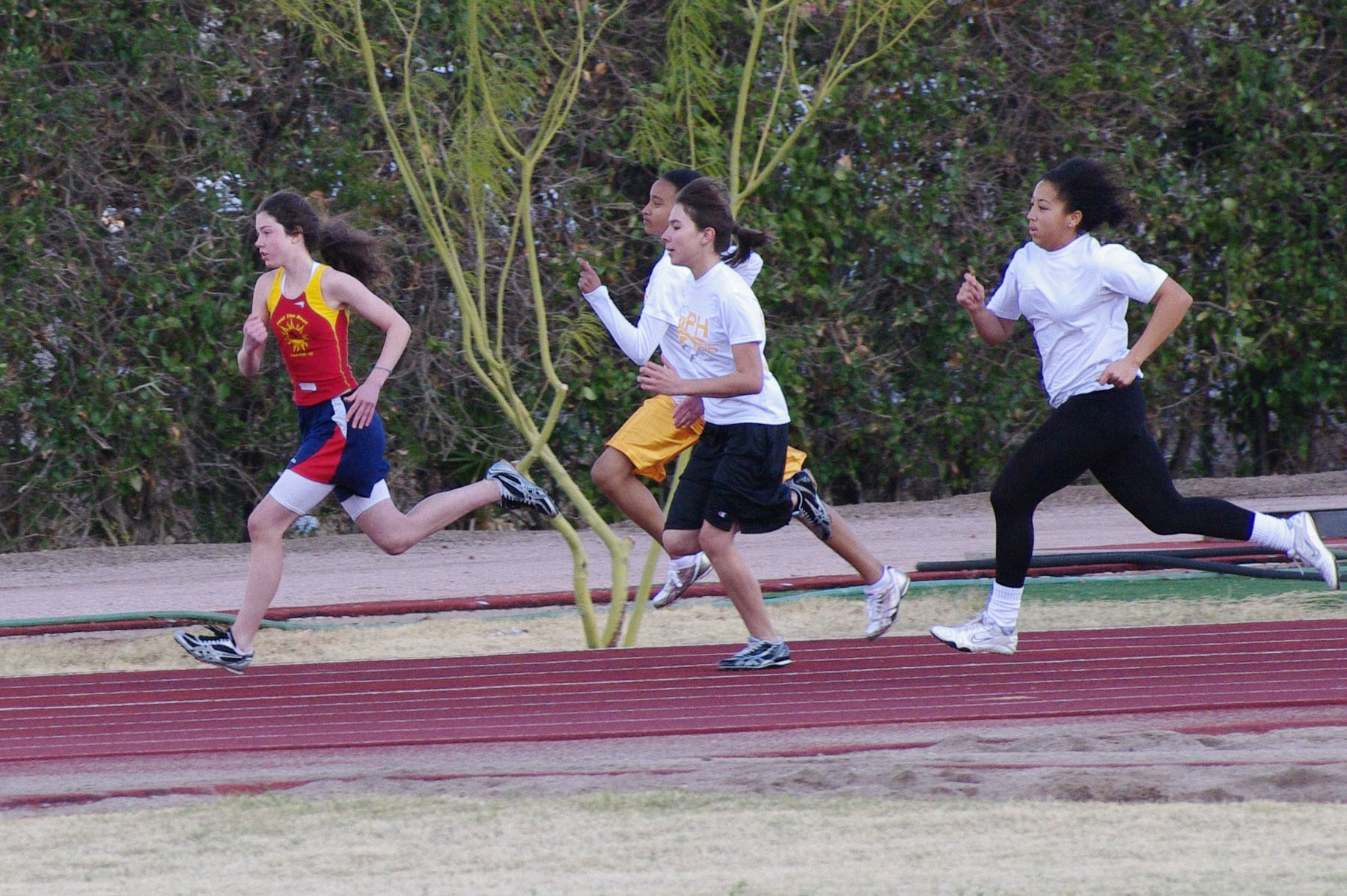IMGP2553_C.jpg