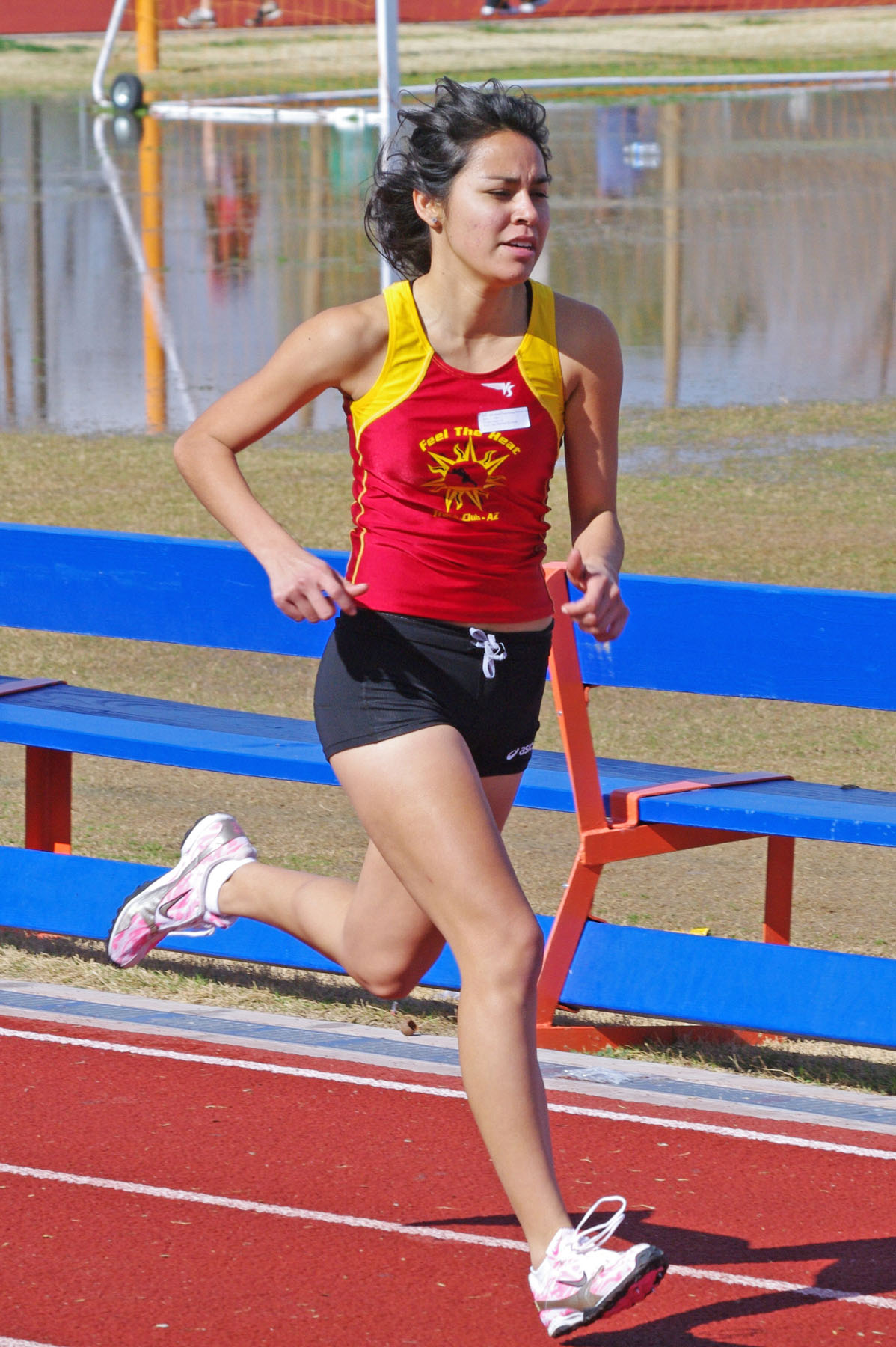 IMGP2606_CE.jpg