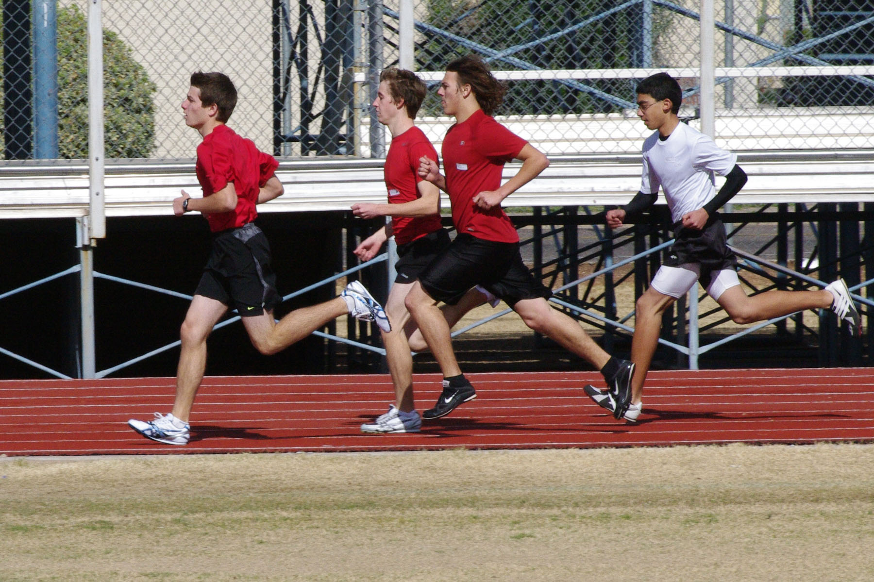 IMGP2650_C.jpg