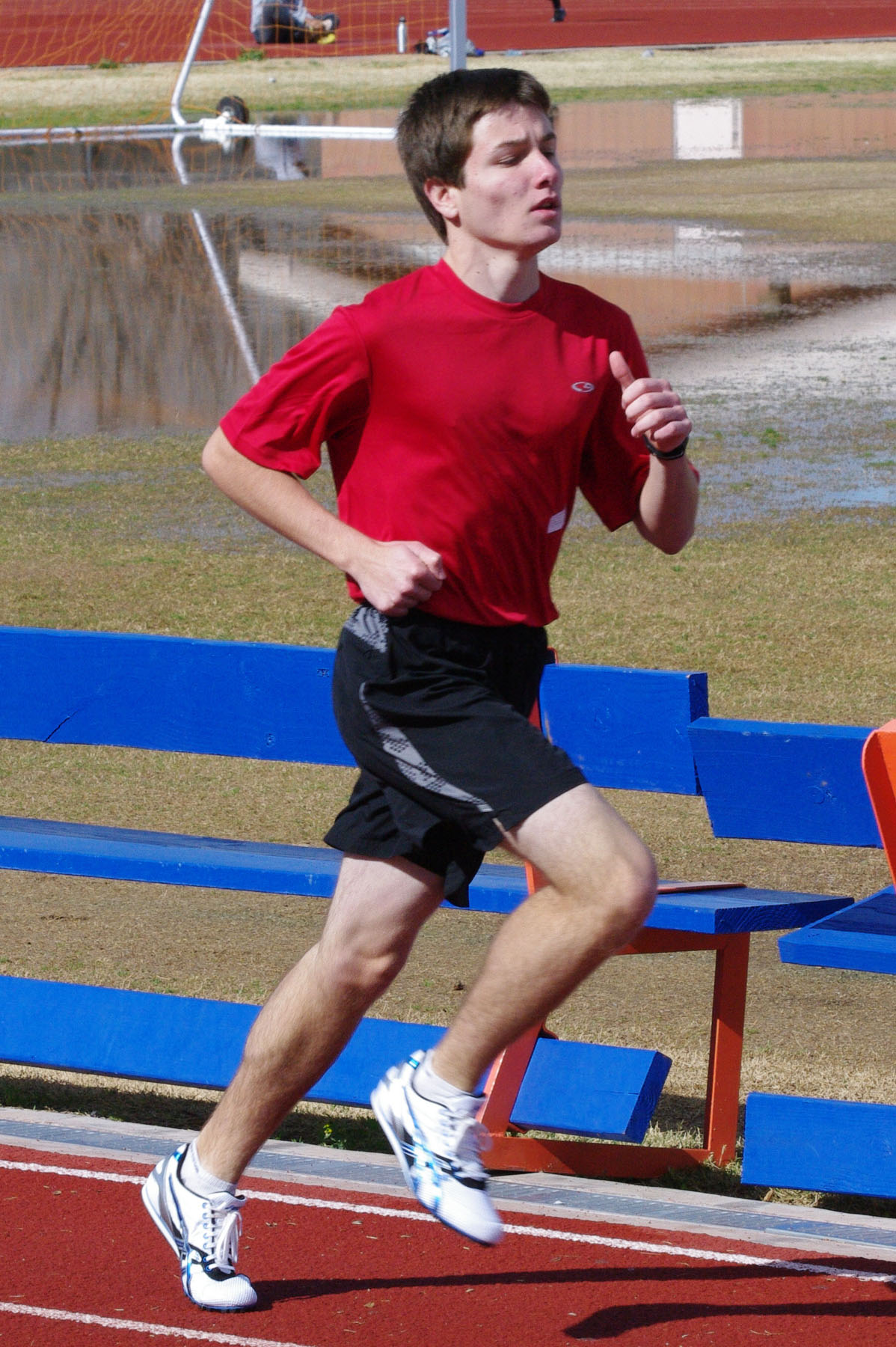 IMGP2653_C.jpg