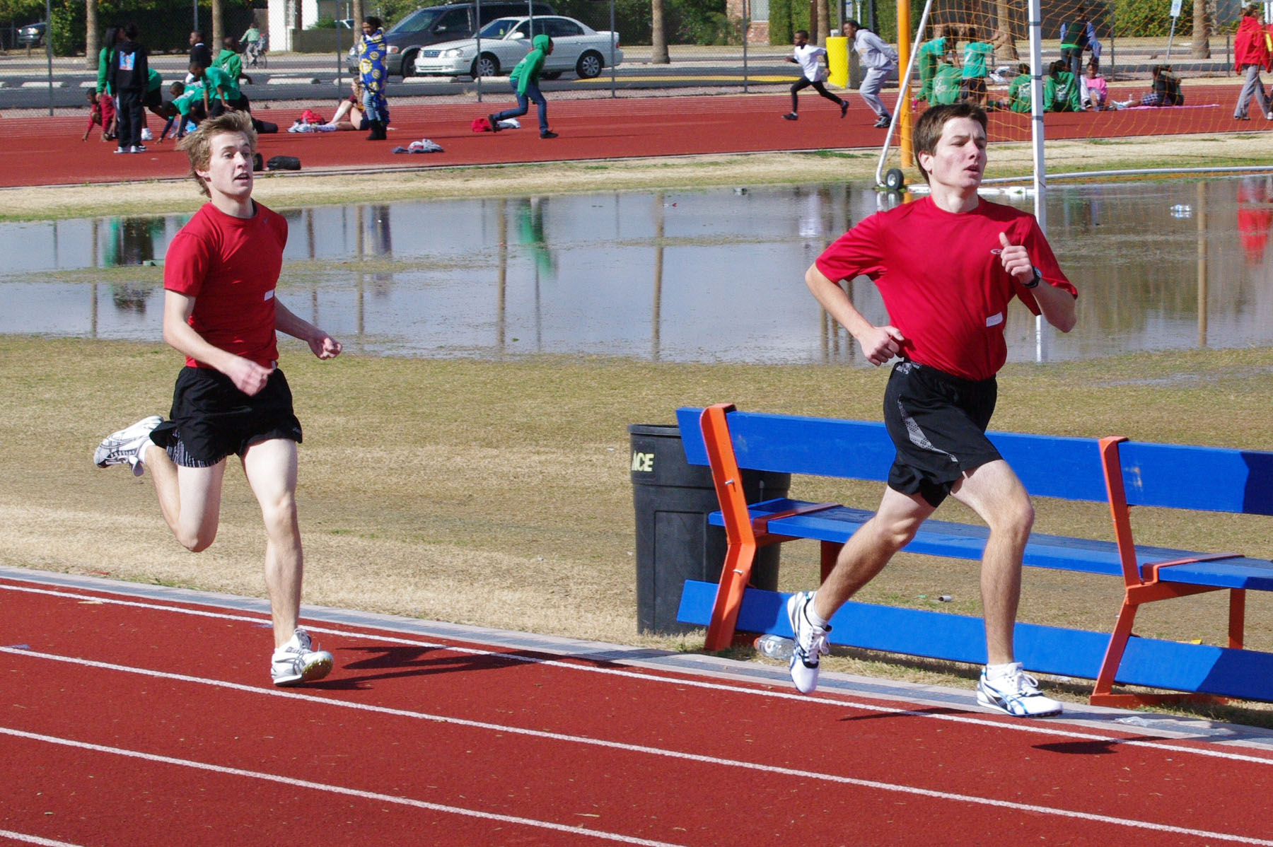 IMGP2669_C.jpg