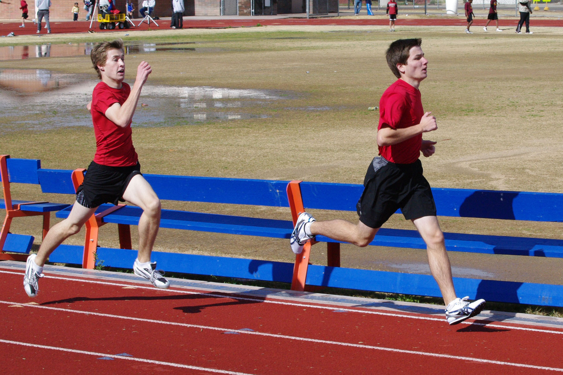 IMGP2670_C.jpg