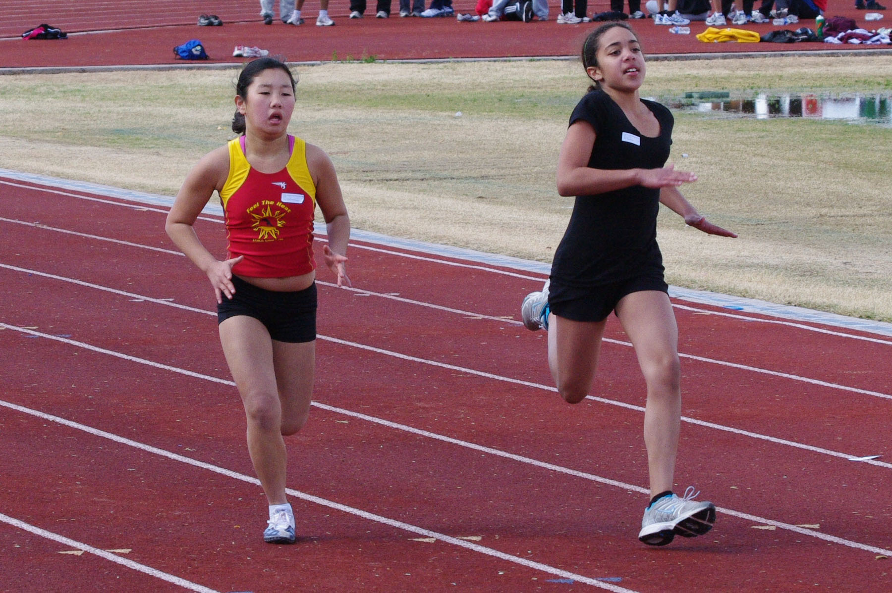 IMGP2694_C.jpg