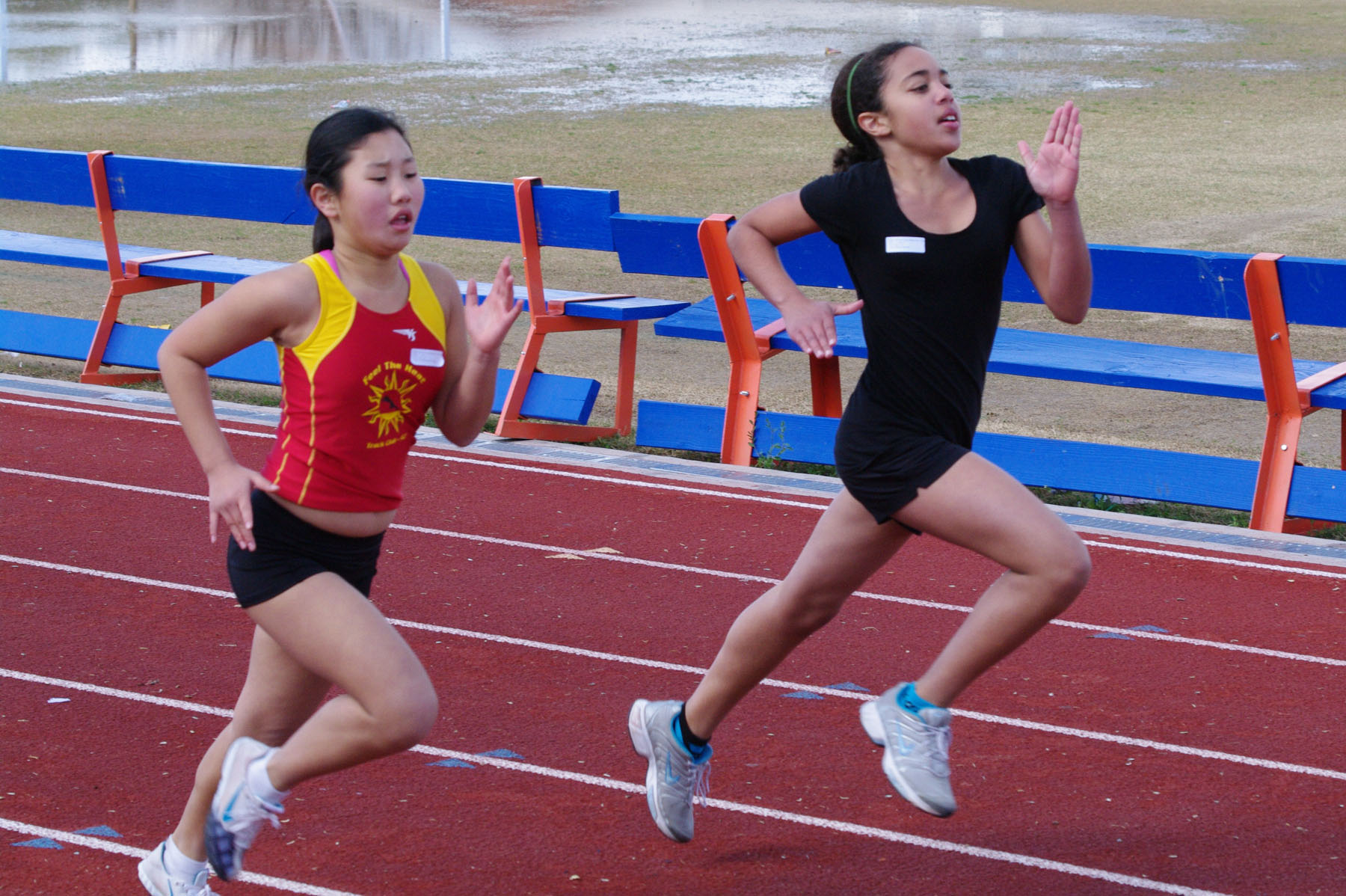 IMGP2696_C.jpg