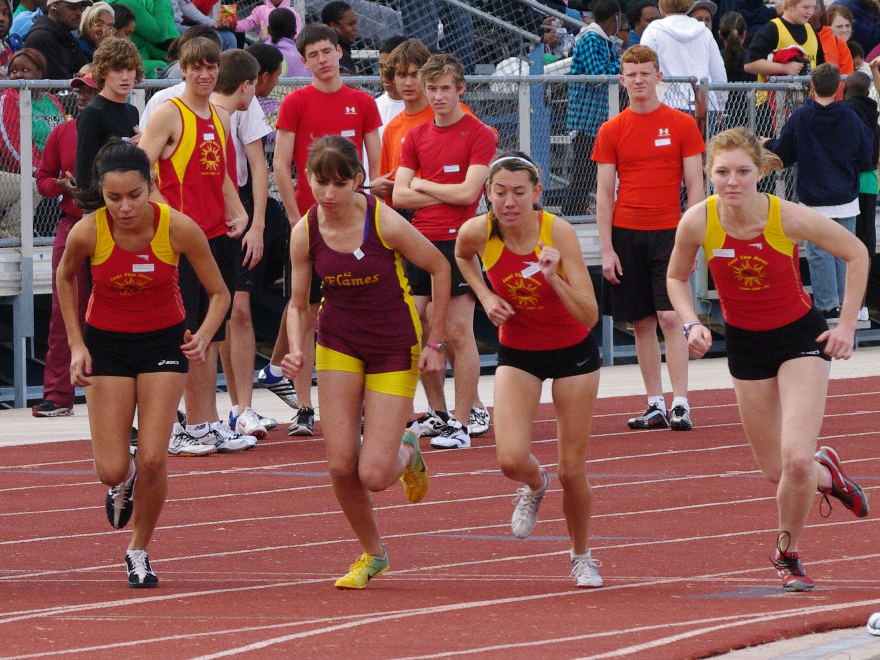 IMGP2943_C1.jpg