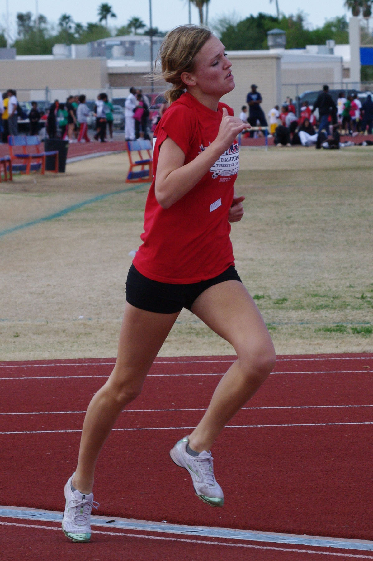 IMGP2954_C.jpg