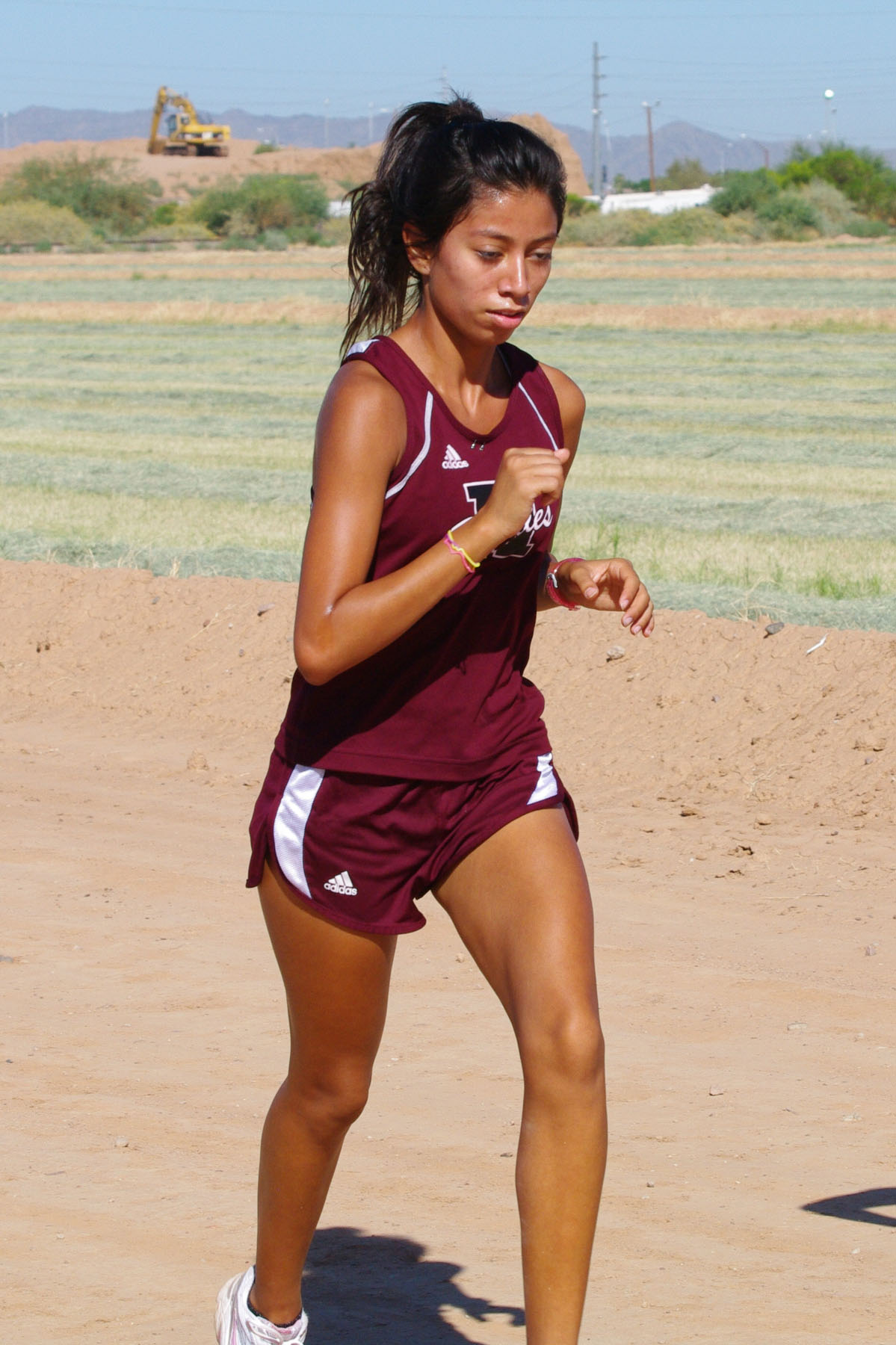 IMGP7462_C.jpg