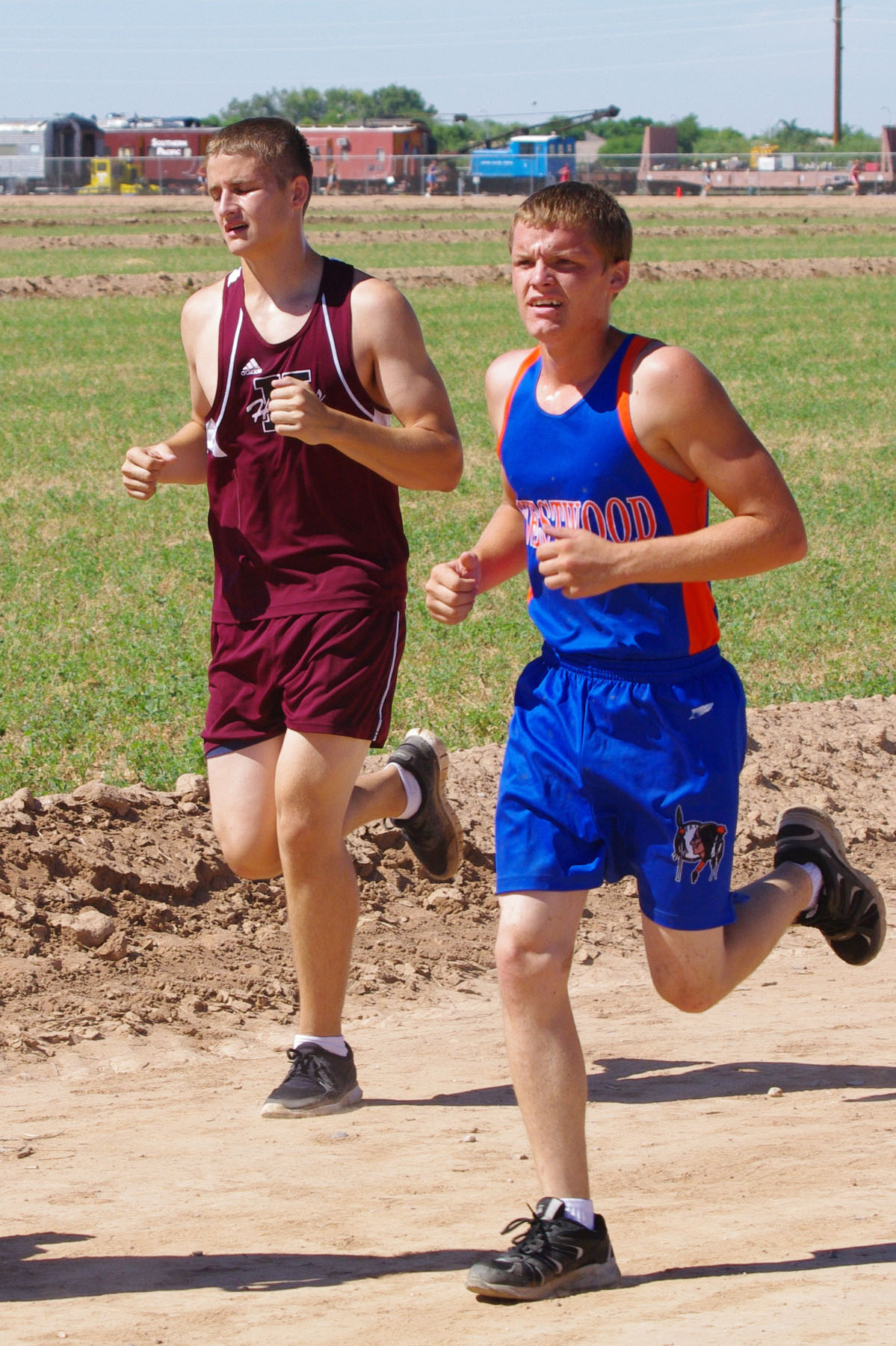 IMGP7691_C.jpg