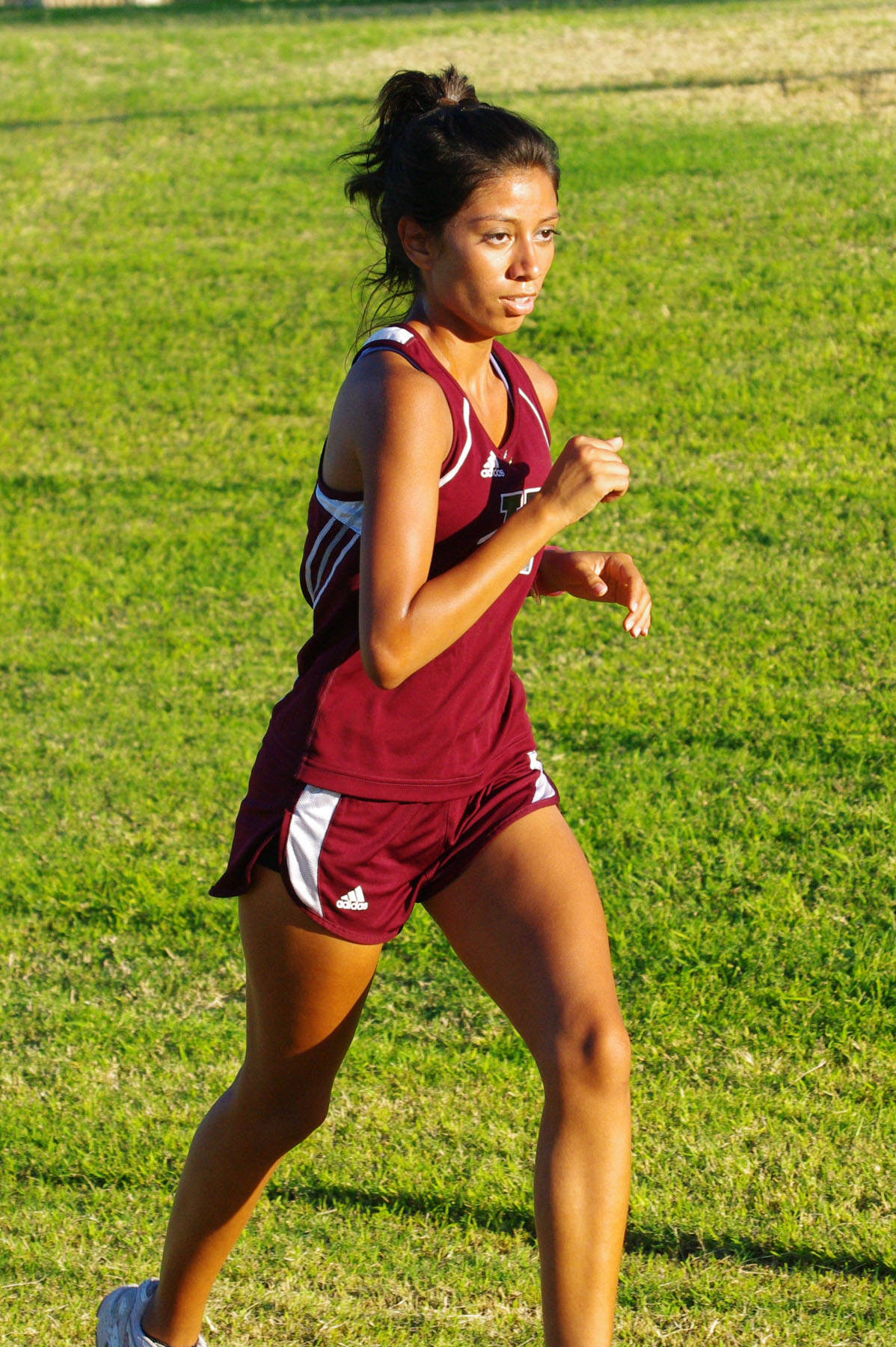 IMGP9018_C.jpg