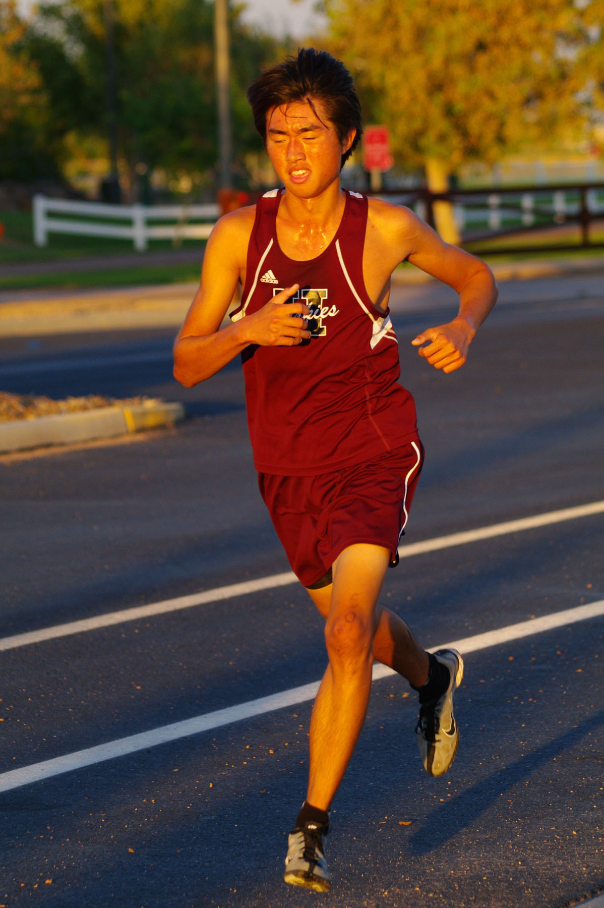 IMGP9238_C.jpg