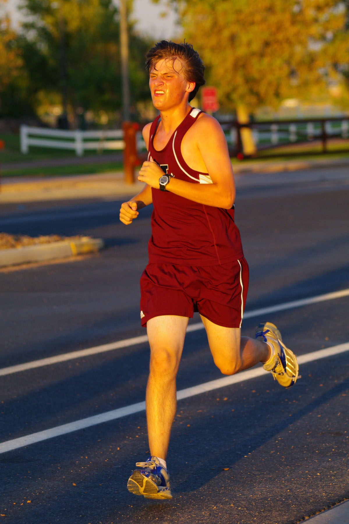 IMGP9239_C.jpg