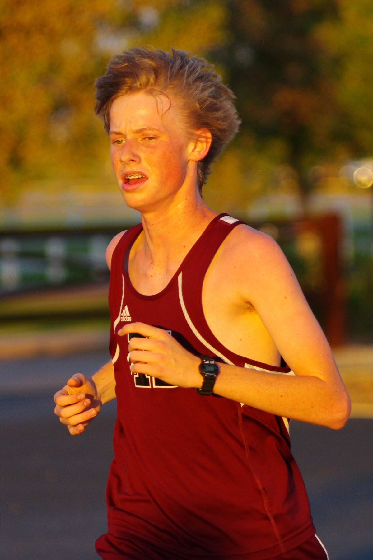 IMGP9245_C.jpg