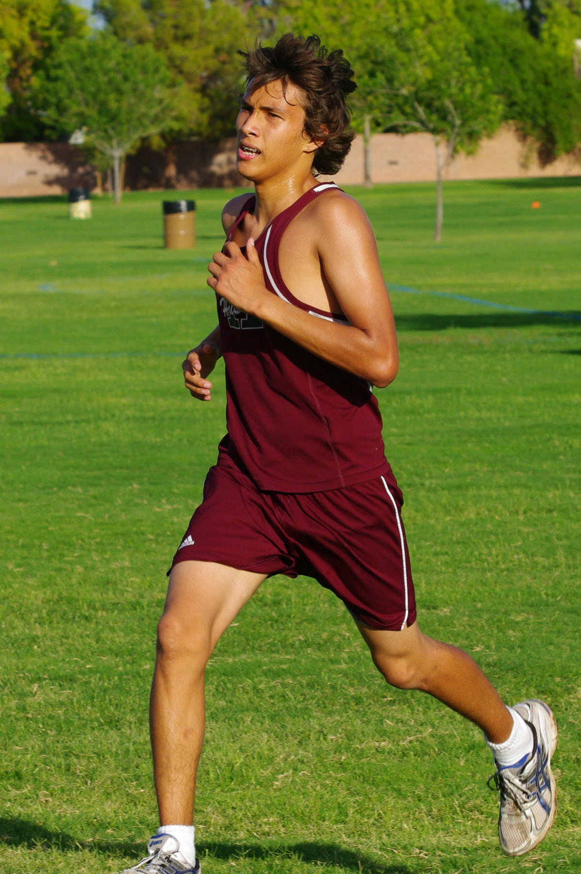 IMGP8315_C.jpg