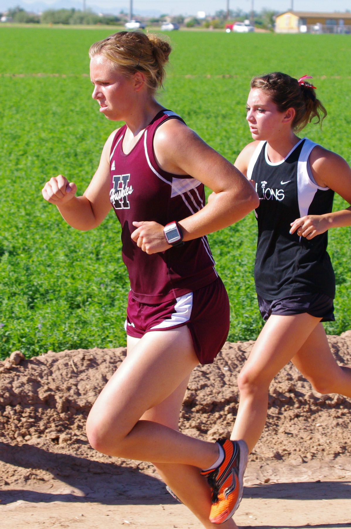 IMGP8656_C.jpg