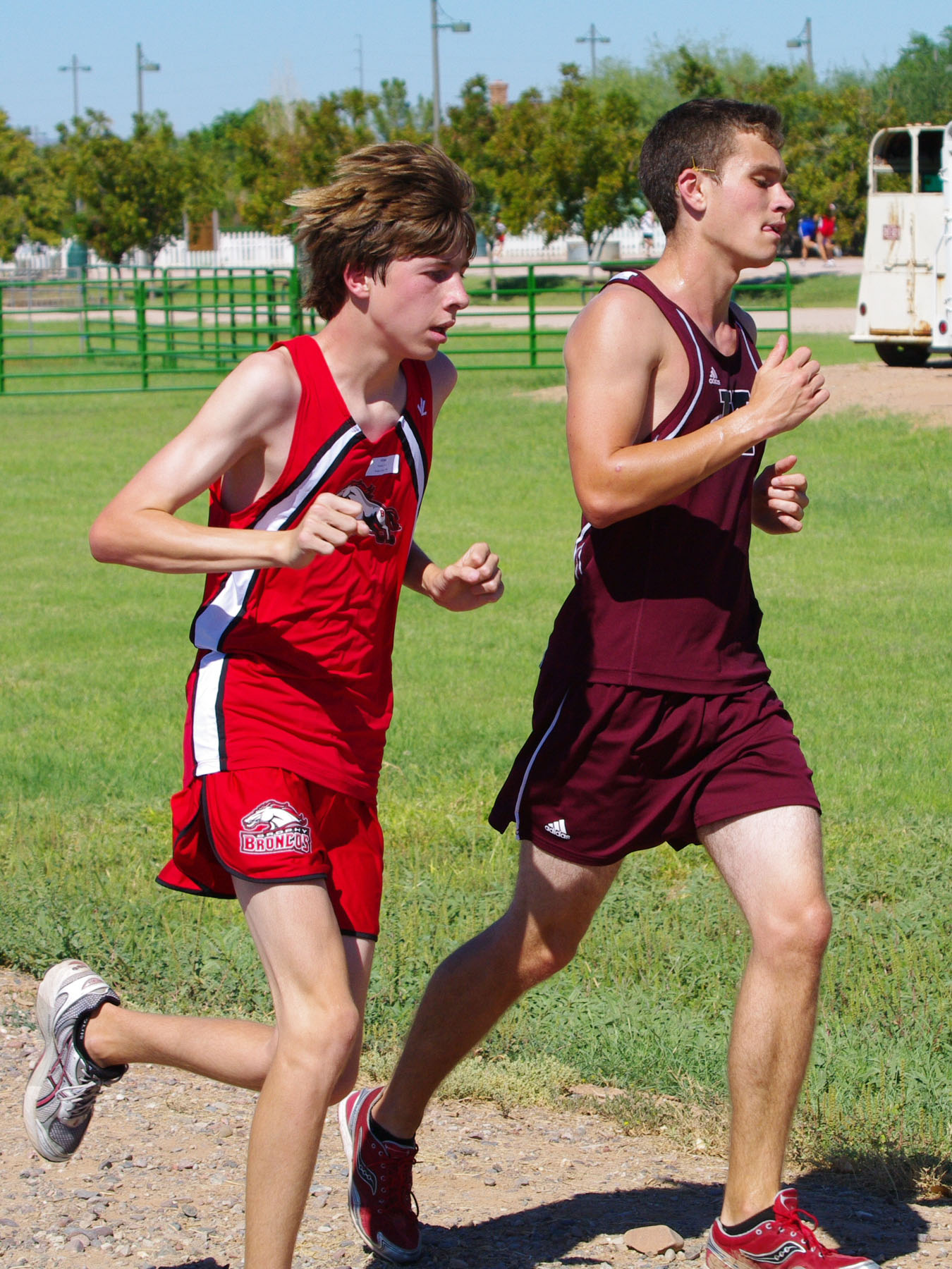 IMGP8916_C.jpg