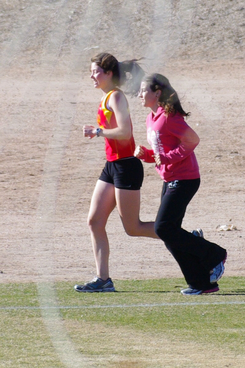 IMGP2425_C.jpg