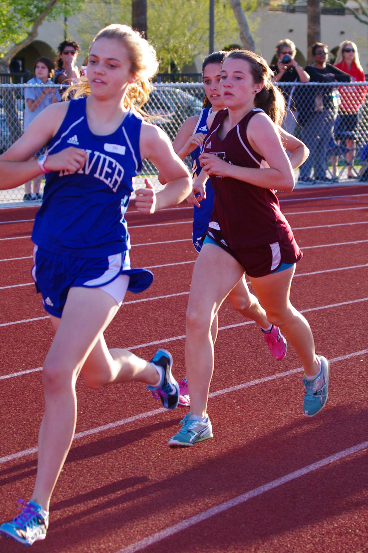 IMGP5594_C.jpg