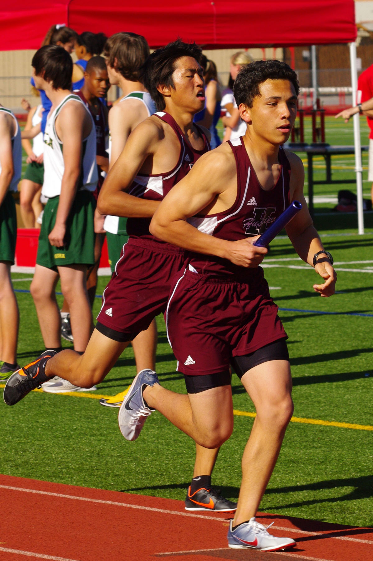 IMGP3715_C.jpg