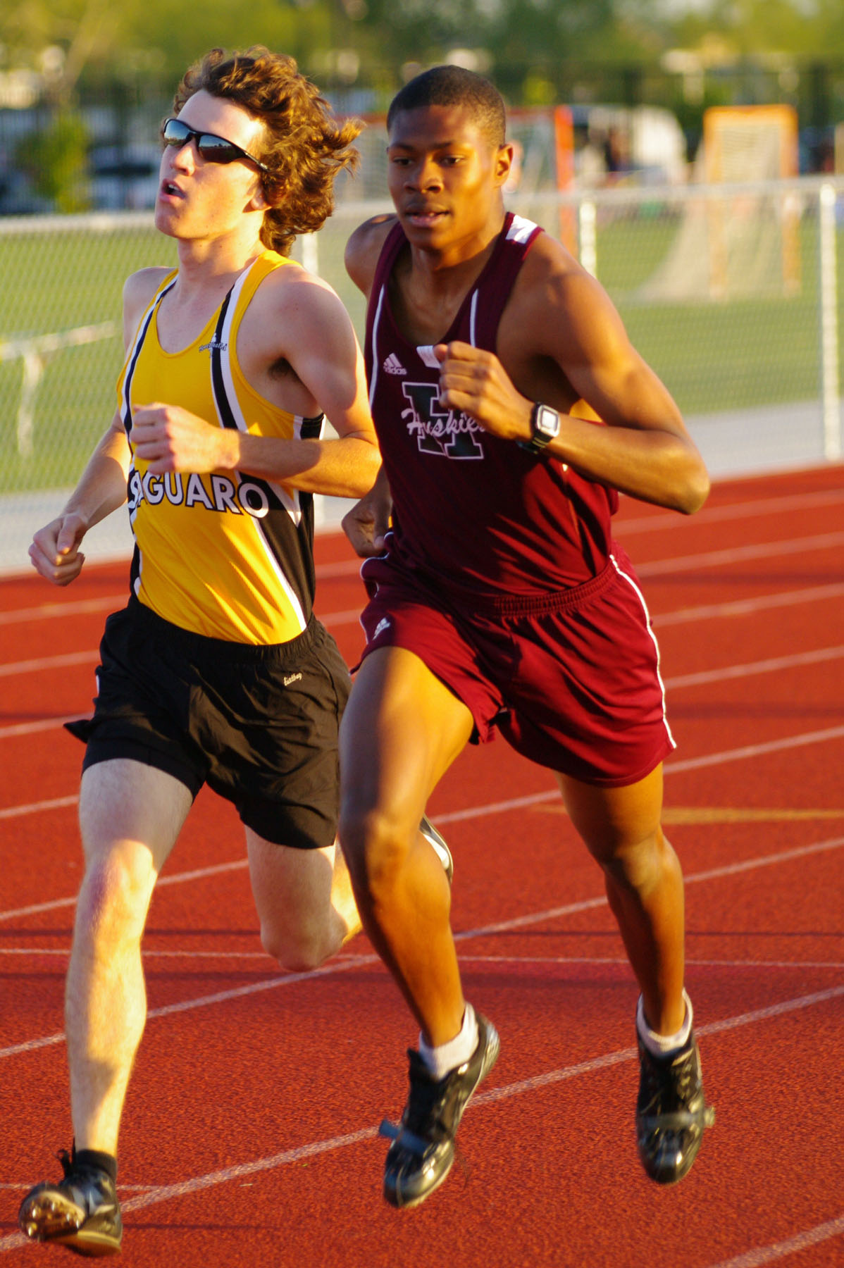 IMGP3852_C.jpg